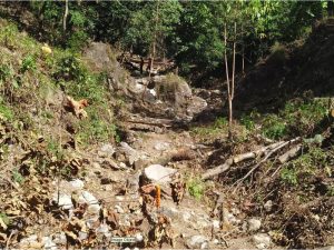 Stabilization of Hill Slopes in Nirgad near Rishikesh Before Start of Construction